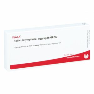 Folliculi Lymph. Aggr. Gl D6 Ampullen