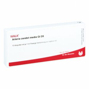 Arteria Cerebri Media Gl D5 Ampullen