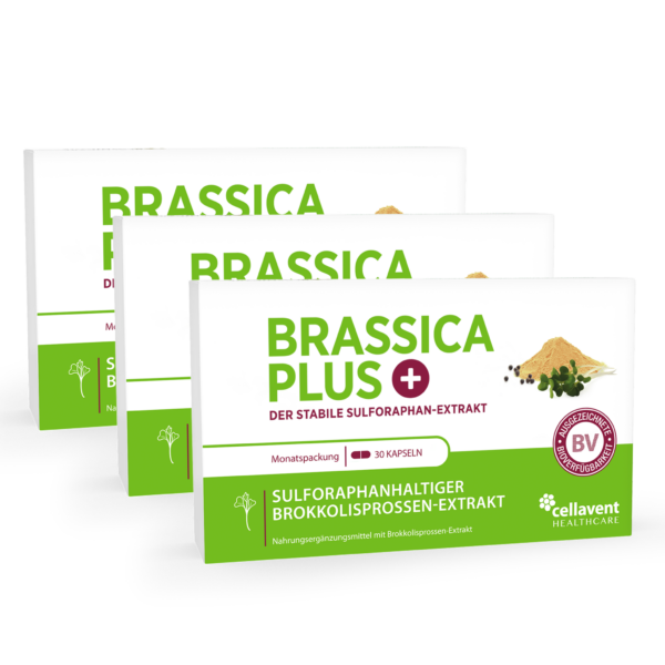 Sulforaphan Brokkolisamen-Extrakt Kapseln - Brassica PLUS