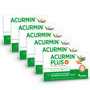Mizell Kurkuma Kapseln mit hoher Bioverfügbarkeit  Acurmin PLUS 360 Stück / 6 Monate