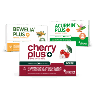 Freude an Bewegung - Bundle