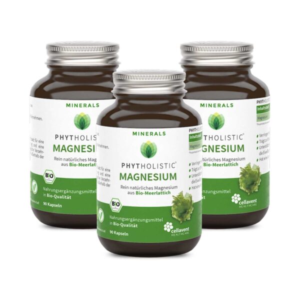 Bio Magnesium Tabletten - Phytholistic Magnesium 270 Stück / 3 Monate