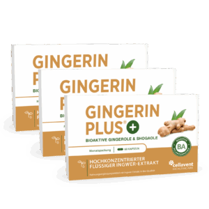 Bioaktiver Ingwer-Extrakt - Gingerin PLUS 180 Stück / 3 Monate