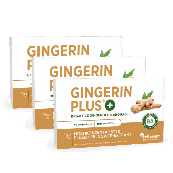 Bioaktiver Ingwer-Extrakt - Gingerin PLUS 180 Stück / 3 Monate