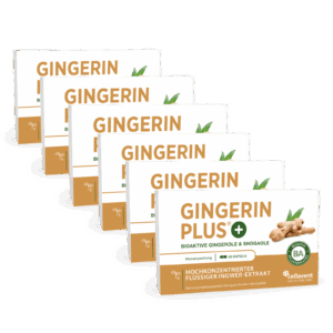 Bioaktiver Ingwer-Extrakt - Gingerin PLUS 360 Stück / 6 Monate