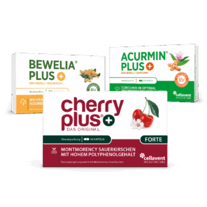 Freude an Bewegung - Bundle