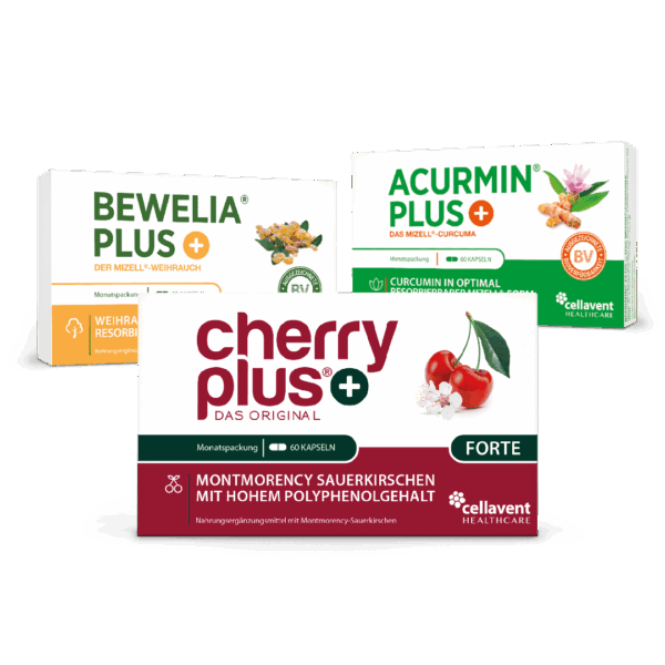 Freude an Bewegung - Bundle