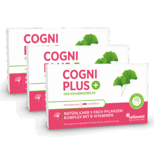 Ginkgo Kapseln mit Bacopa & Ginseng  Cogni PLUS 90 Stück / 3 Monate