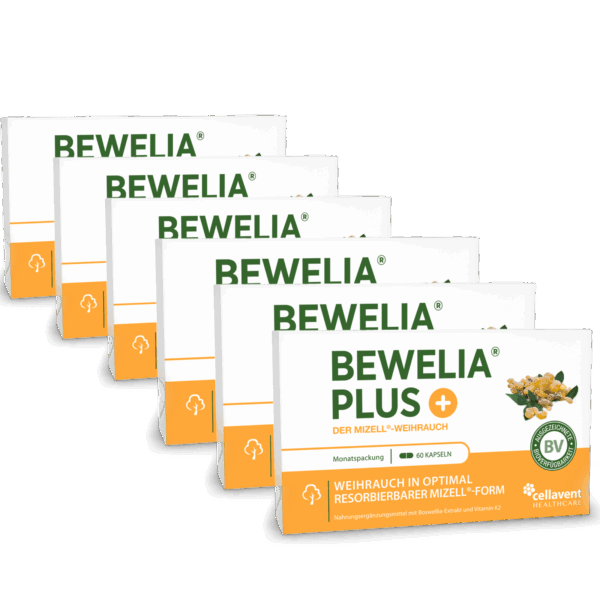 Mizell Weihrauch Kapseln - Bewelia PLUS 360 Stück / 6 Monate
