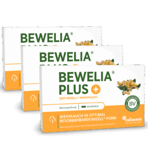 Mizell Weihrauch Kapseln - Bewelia PLUS 180 Stück / 3 Monate
